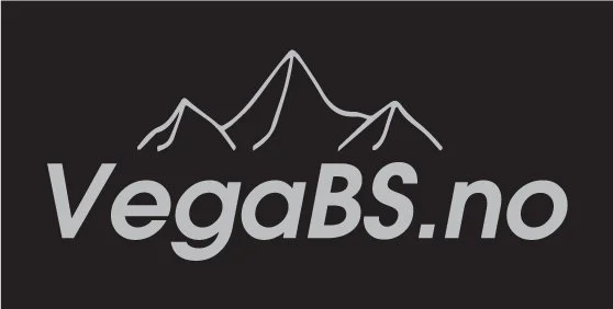 Vega byggservice