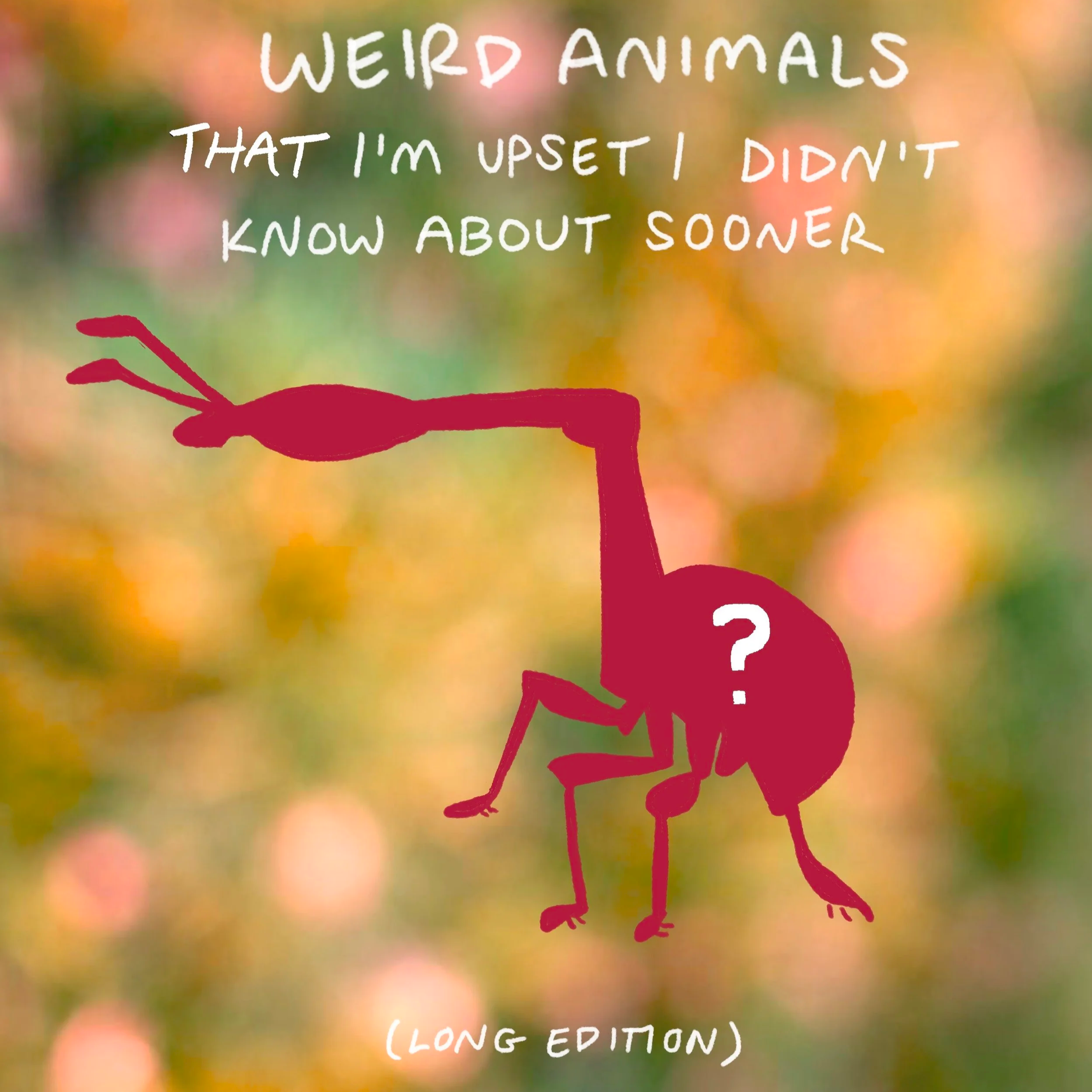 Weird Animals That I'm Upset I Didn't Know About Sooner - The New Yorker (2023)