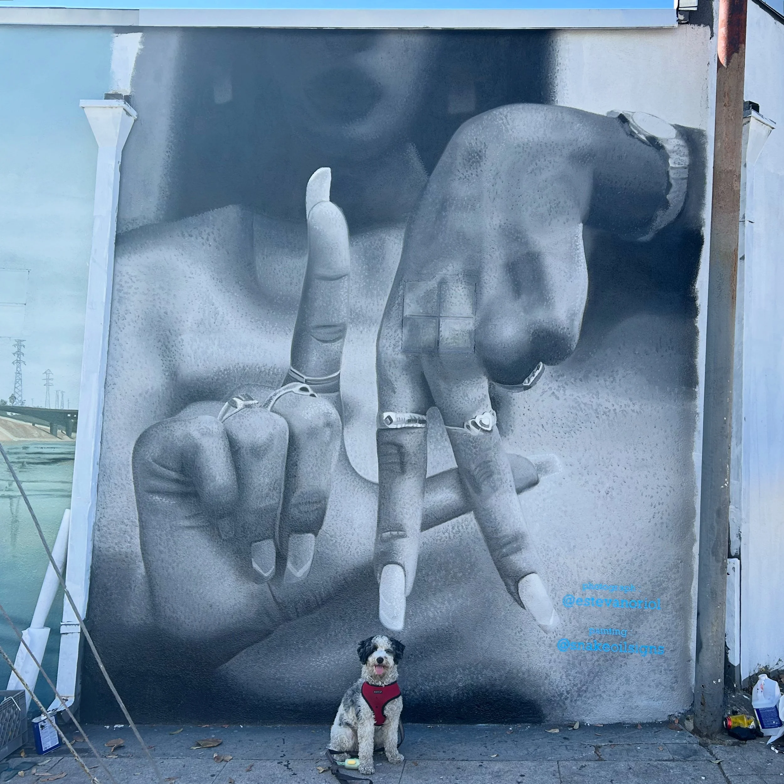 Street art mural of a realistic black-and-white hand making an 'I love you' sign with the pinky, index, and thumb fingers extended, and the other fingers folded down, painted on a brick wall. A dog wearing a red harness sits in front of it.