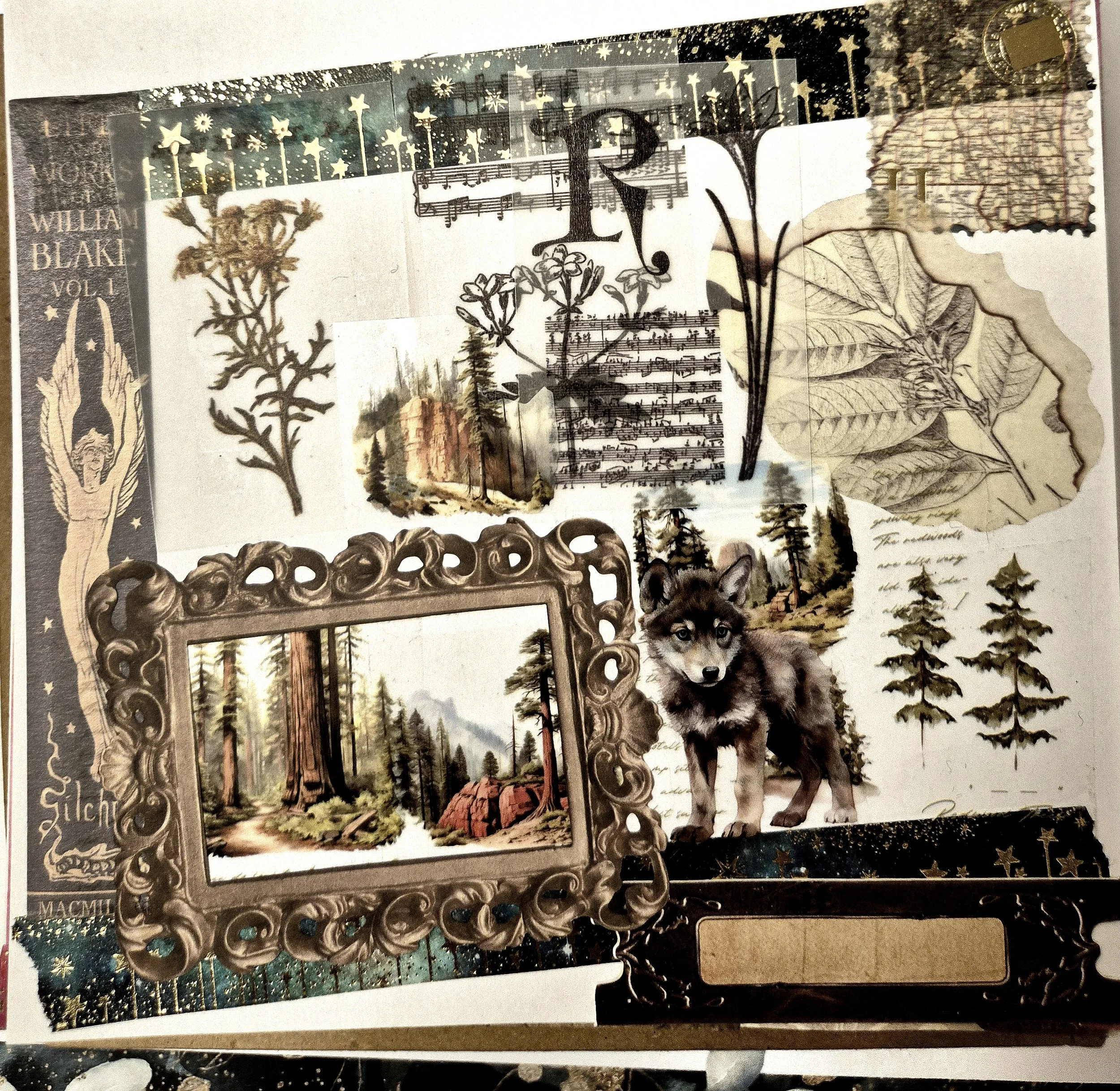Ideas of the Woods
