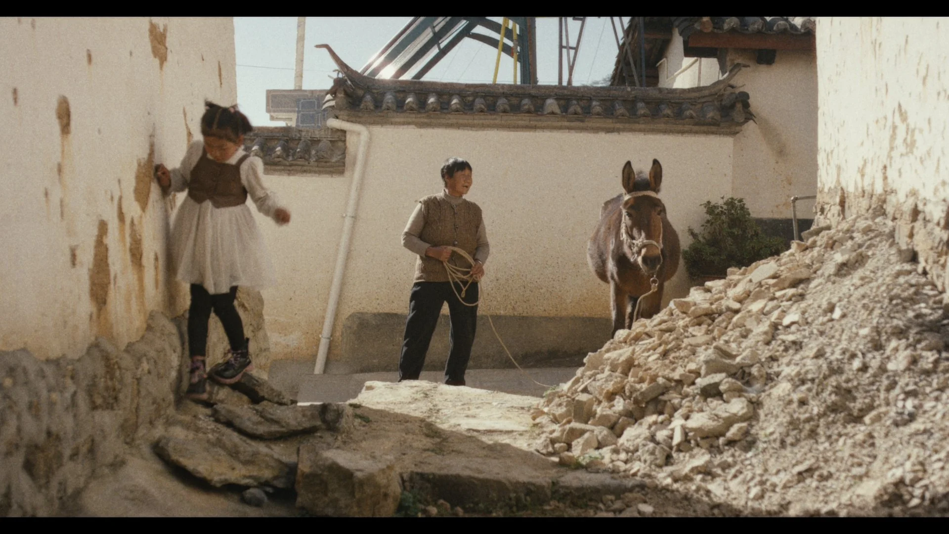 静帧 2025-12-16 224612_1.322.1.jpg