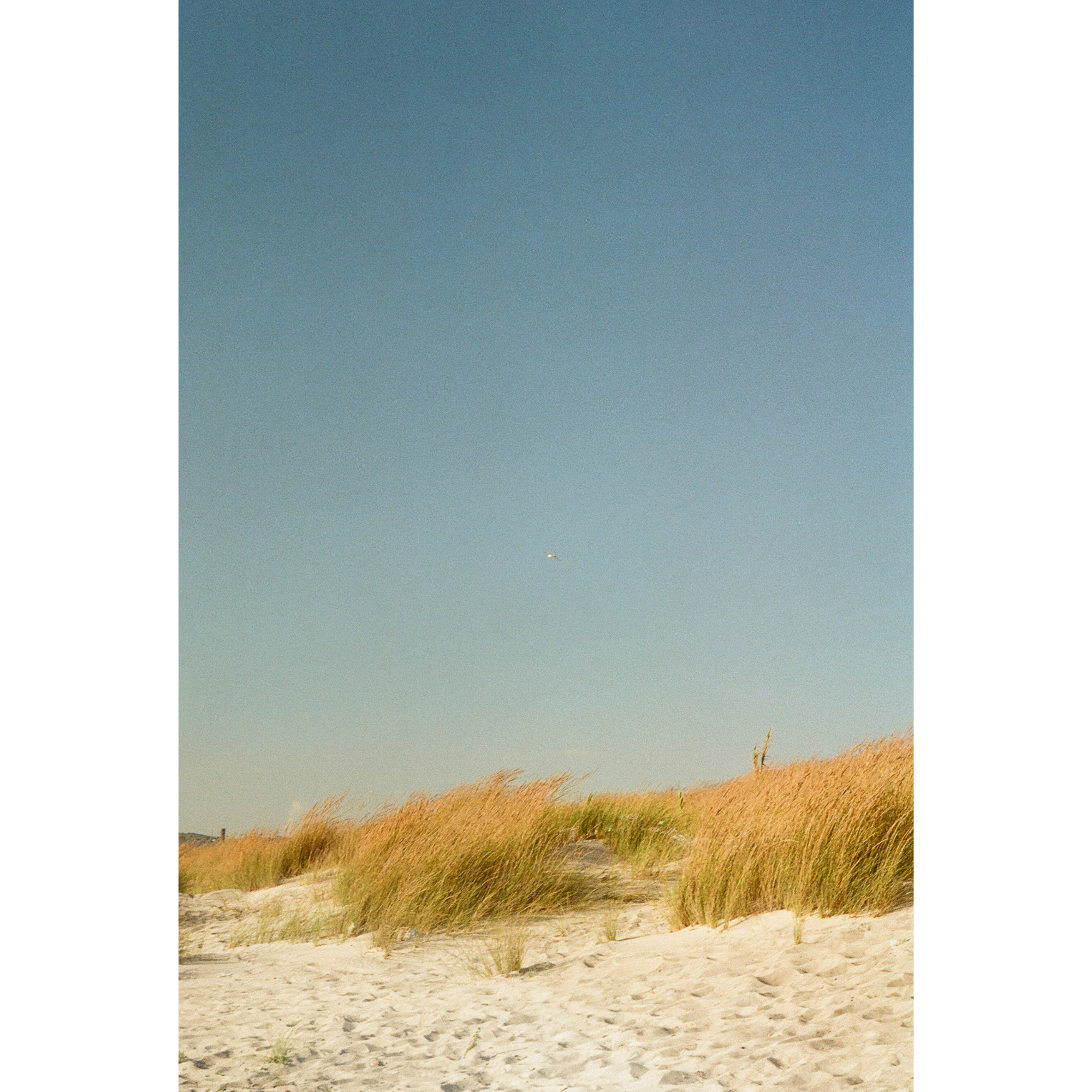 JRN 005 — Spiagge bianche, Italy