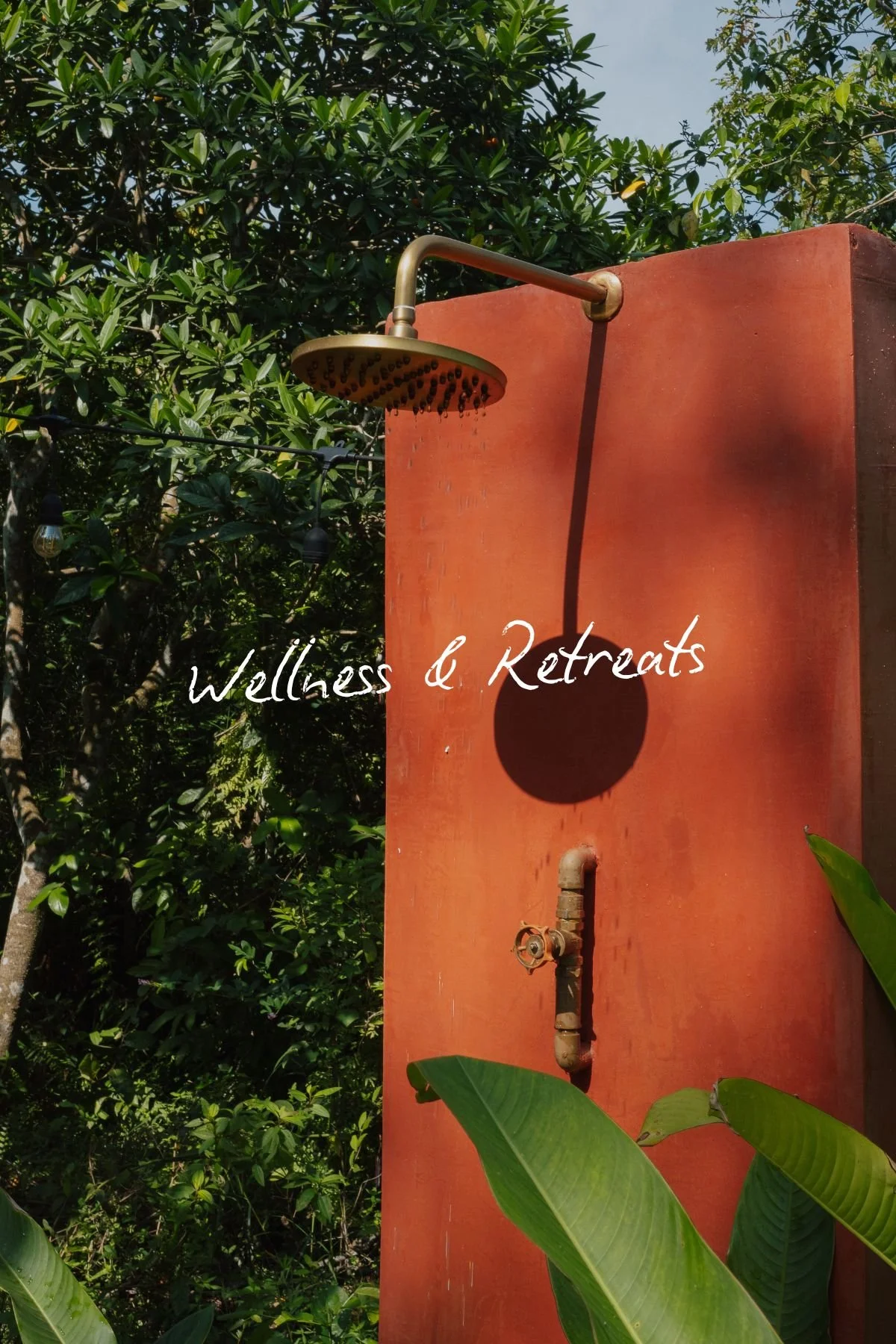 Wellness & Retreats