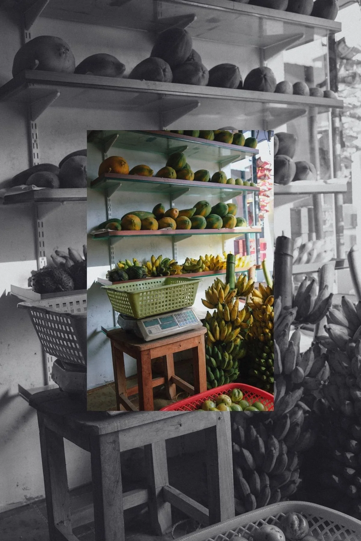 Not a Tourist: Life in Sri Lanka (And the Story In Between)