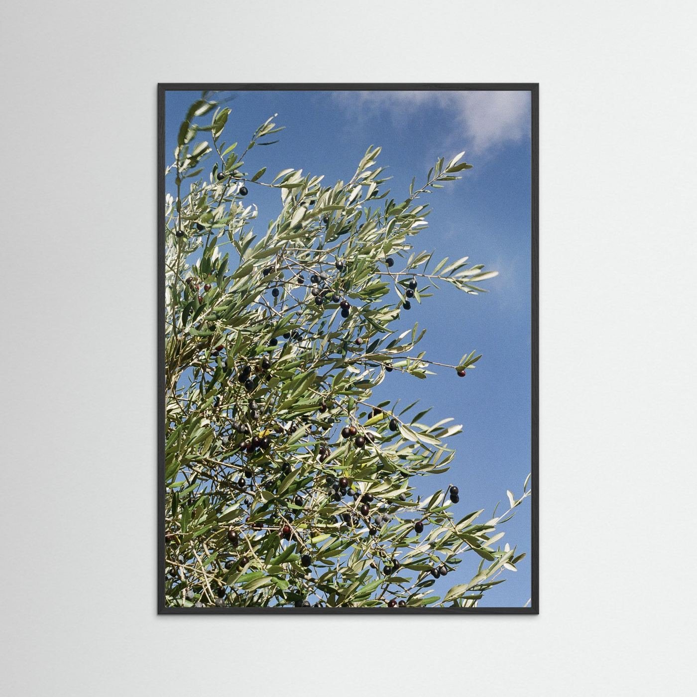 JRN 003 — Tuscany, Italy