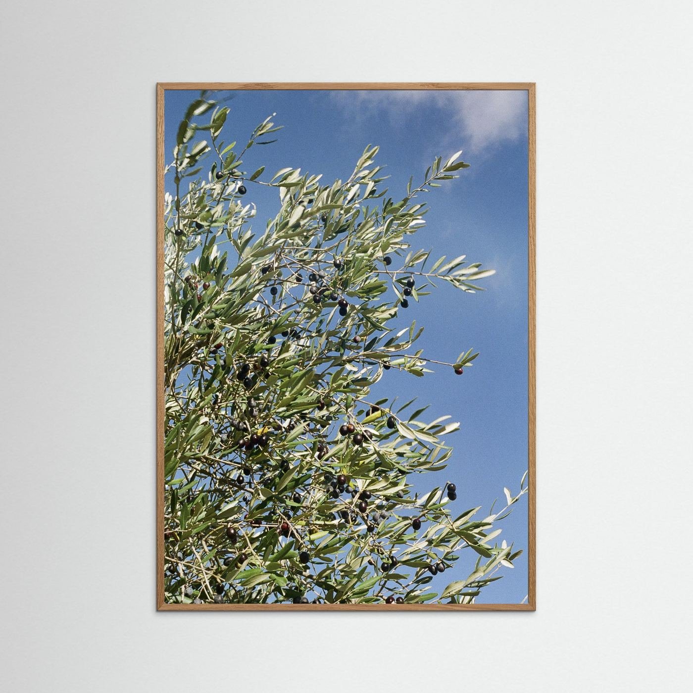 JRN 003 — Tuscany, Italy