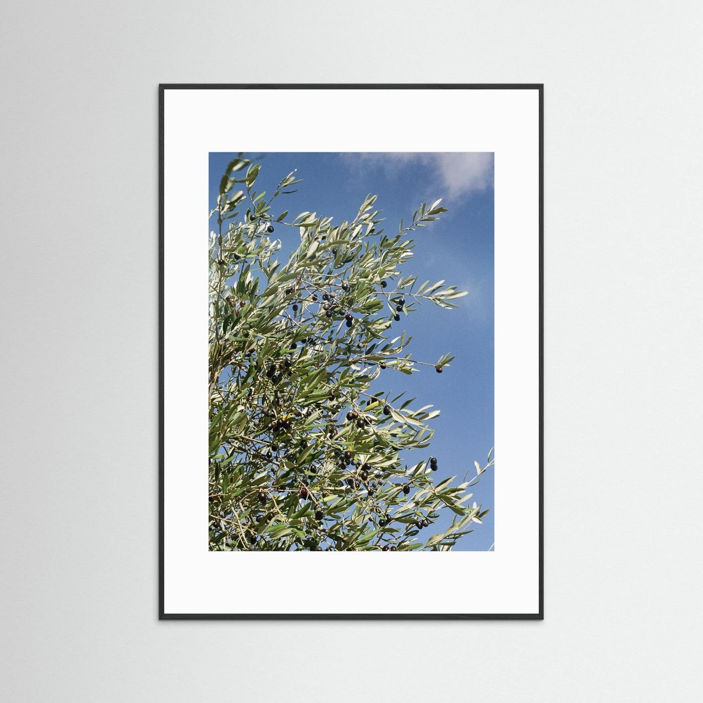 JRN 003 — Tuscany, Italy