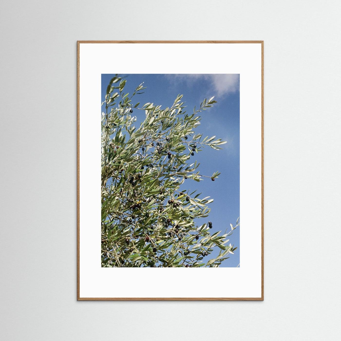 JRN 003 — Tuscany, Italy