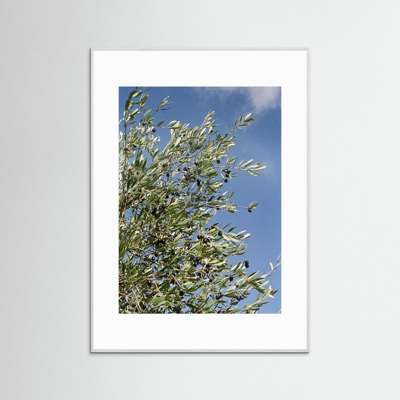 JRN 003 — Tuscany, Italy