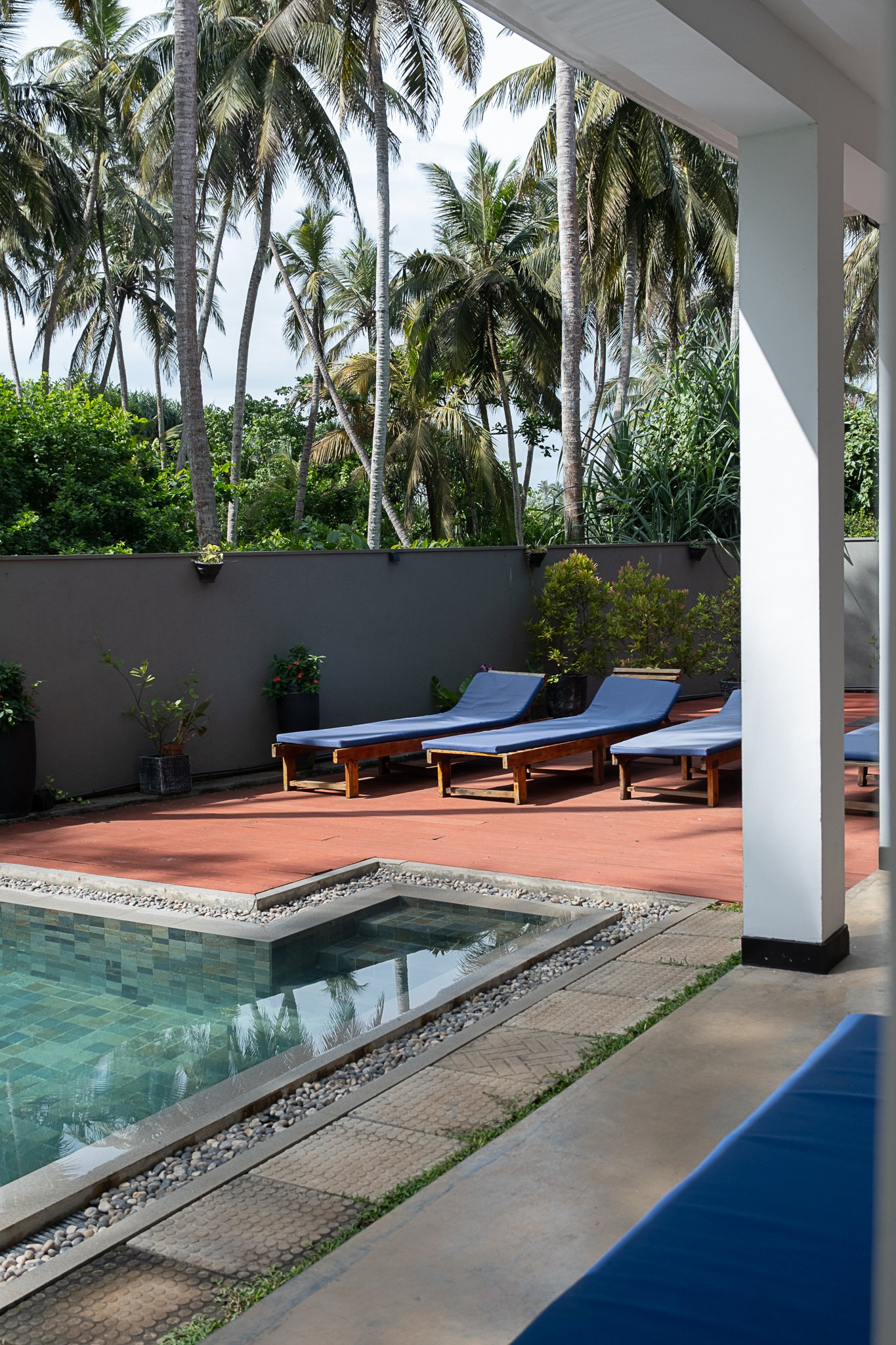 Balcony with blue lounge chairs overlooking a lush tropical area with trees and a swimming pool.