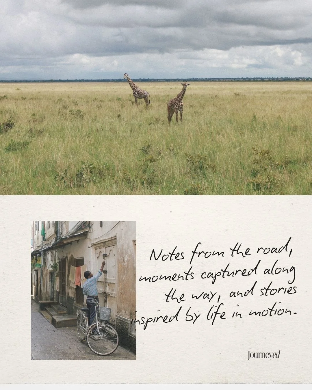 Photographer Jessica Hayha Journal - postcards from the creative life