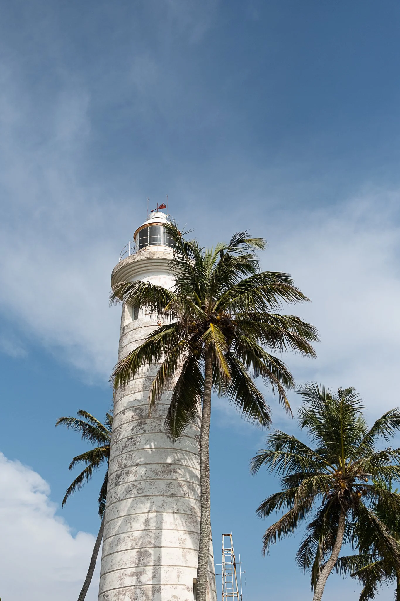 @jessicahayha website-4.jpg