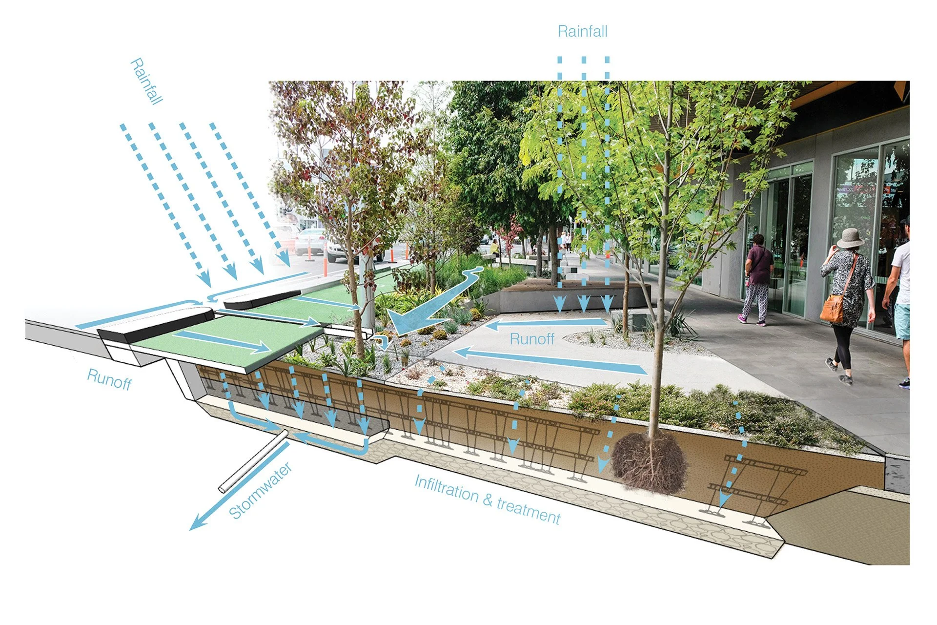 Diagram of urban landscape with trees, pathways, and water runoff management features, showing rainwater infiltration and stormwater runoff flow patterns.