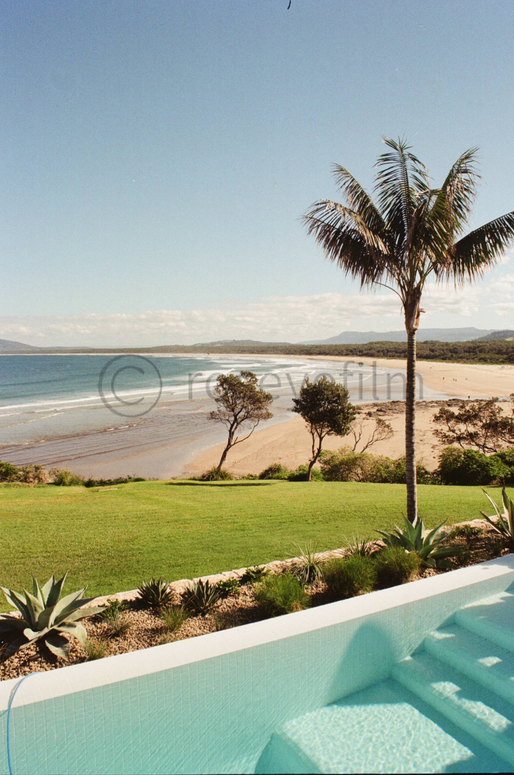 A scenic view of a beach with a palm tree, small trees, sandy shoreline, and ocean waves. Green grass and desert plants in the foreground, blue sky with some clouds.