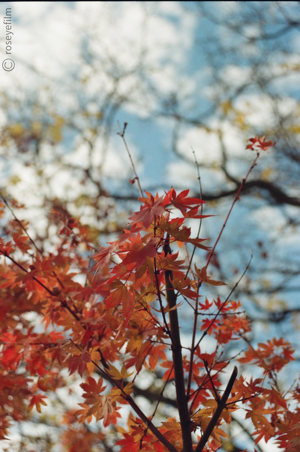 Untitled-64 copy 5.png
