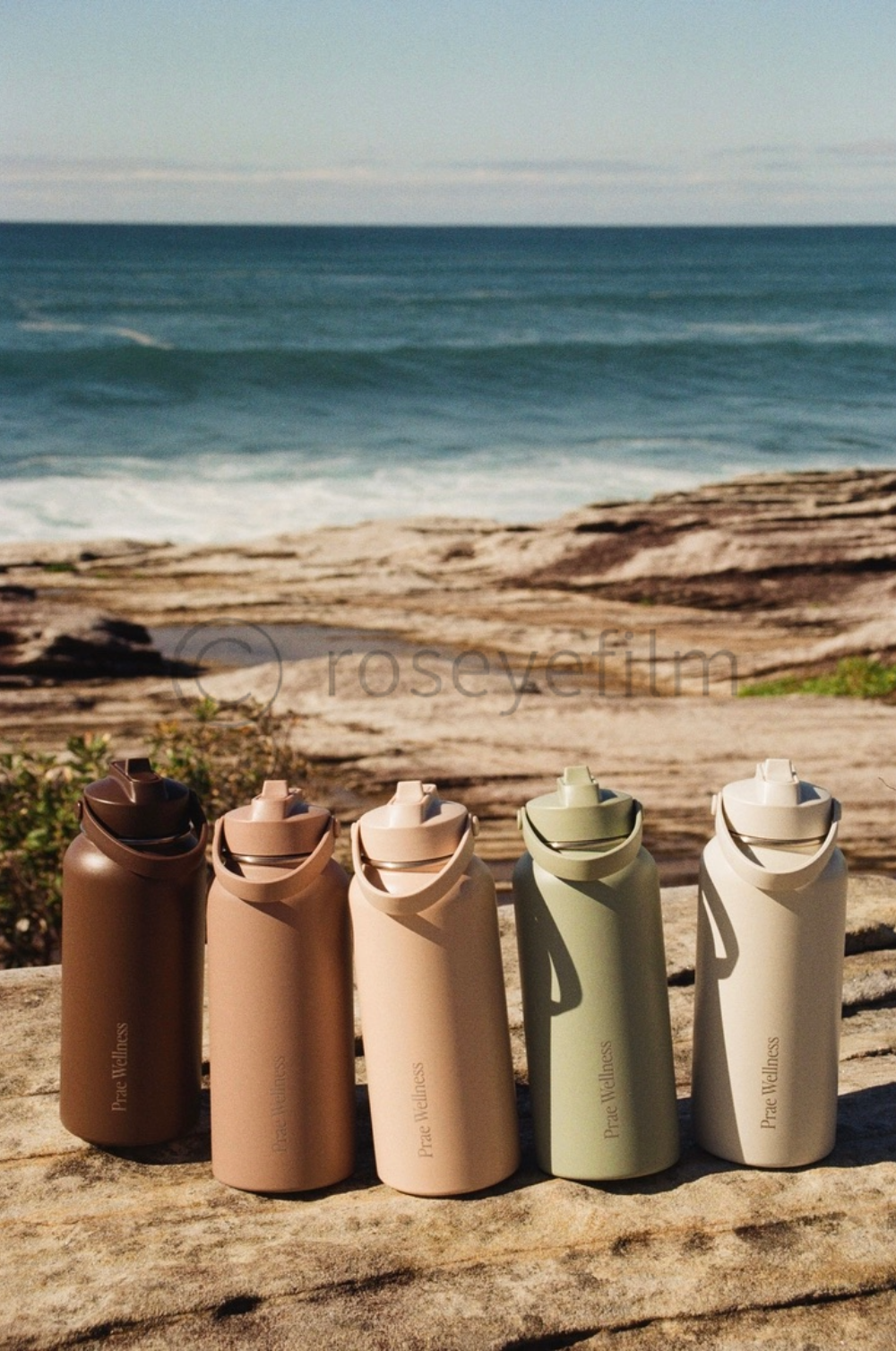 Five reusable water bottles in earthy tones placed on a log at the beach, with ocean waves and a clear sky in the background.