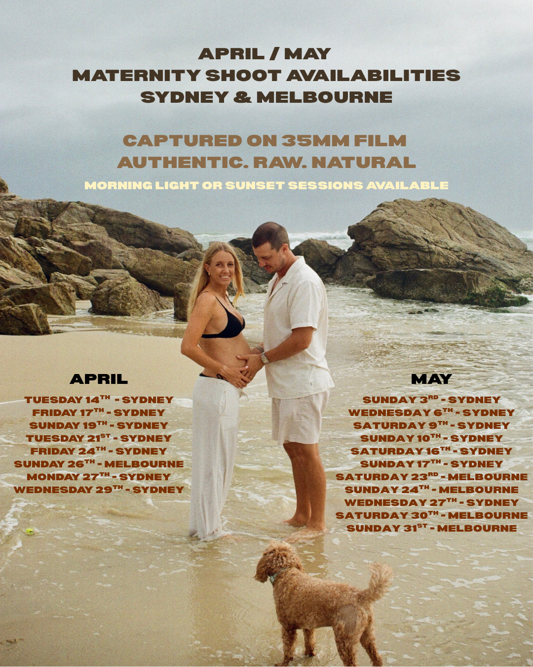 A couple at the beach holding their pregnant belly, with a small dog in the foreground, and large rocks in the background. The image includes text advertising maternity photo shoot availability in Sydney and Melbourne for April and May, with dates listed for each month.
