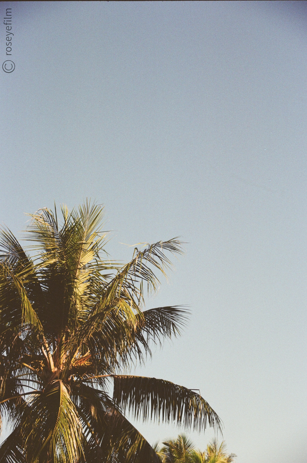 Untitled-64 copy 7.png