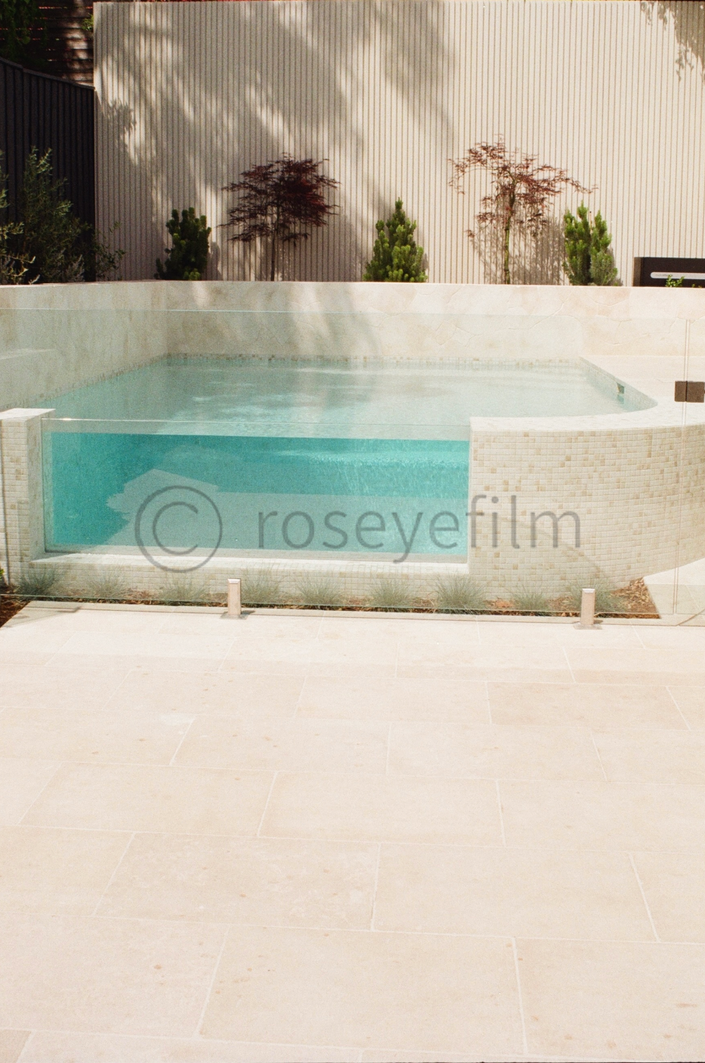 A modern backyard pool with clear water, bordered by light-colored tile, with a beige brick wall and small trees in the background, and shadows of trees cast on the wall.