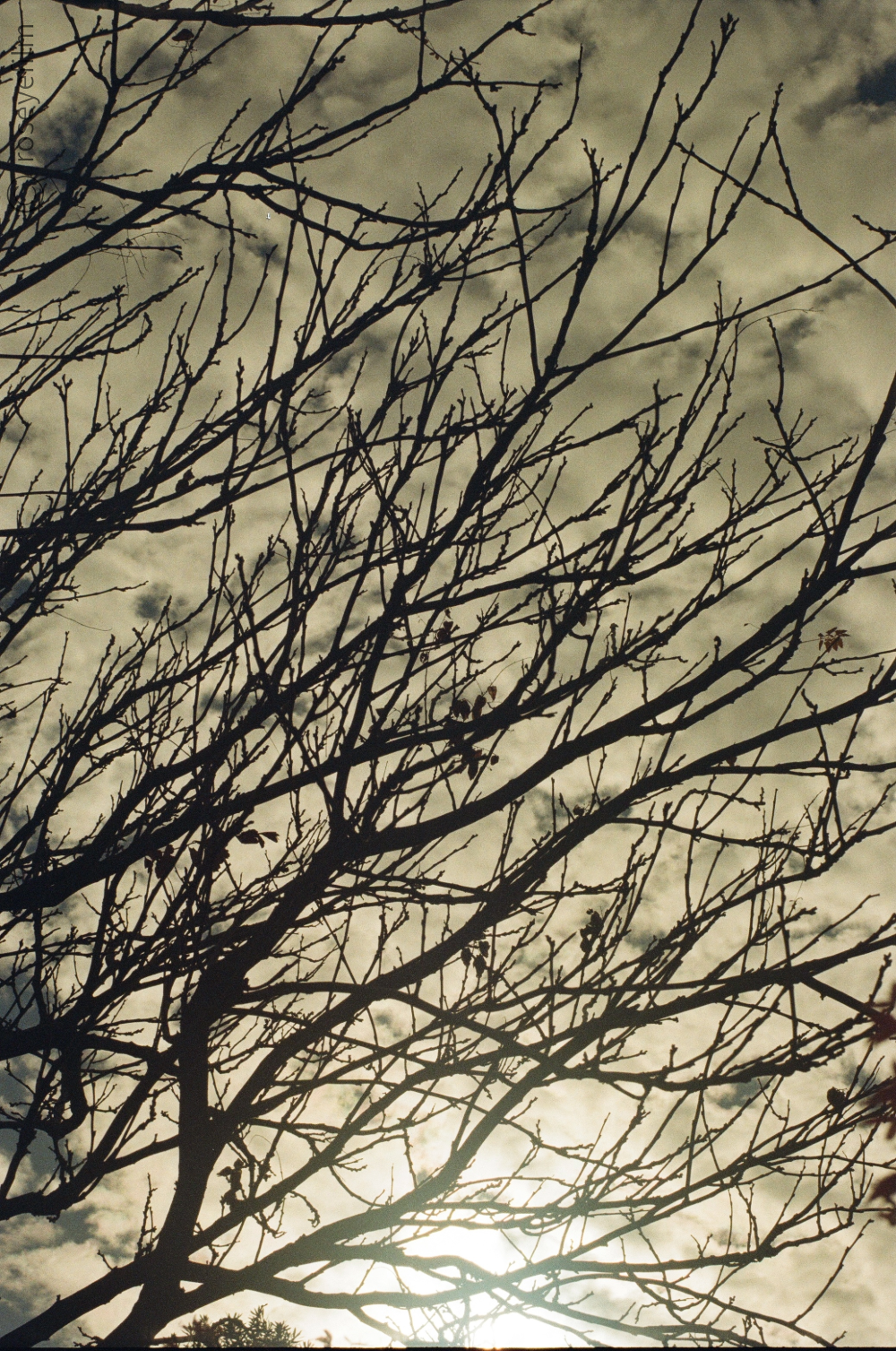 Untitled-64 copy 4.png