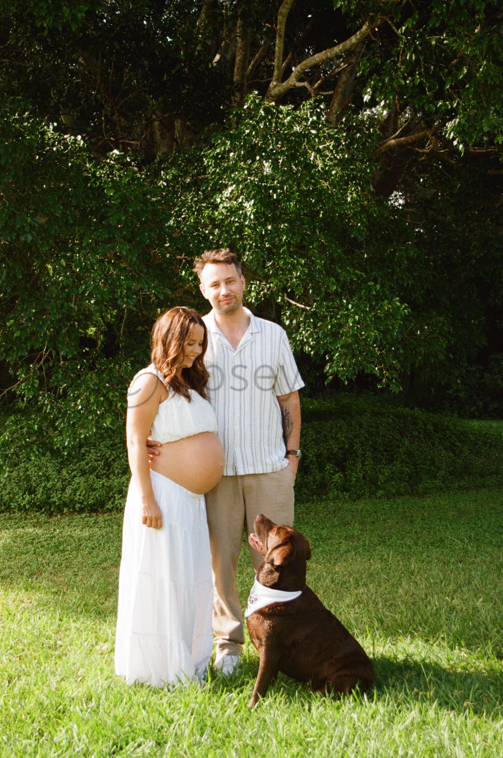 Pregnant woman and man standing outdoors with a dog, surrounded by green trees and grass.