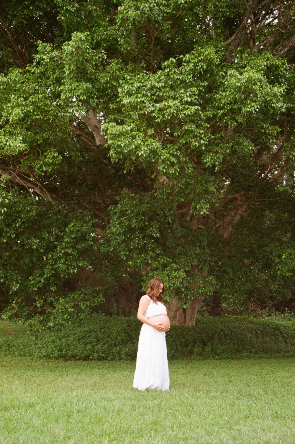 Pregnant woman in a white dress standing on grass near a large green tree.