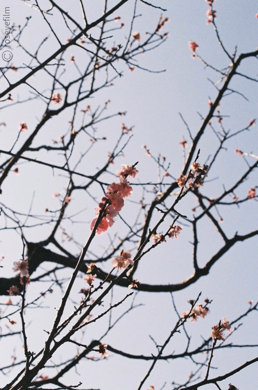 Untitled-37.png