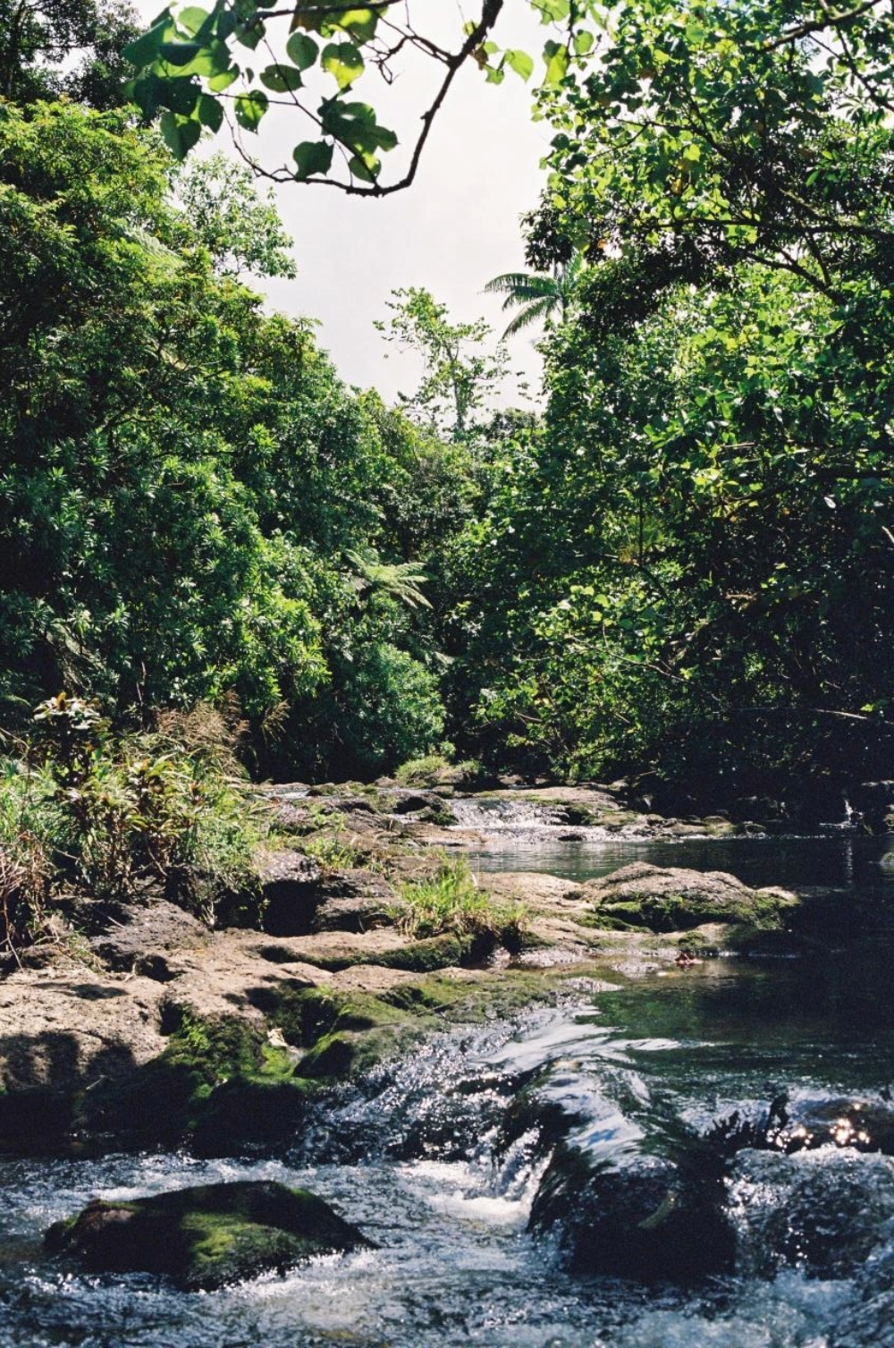 Untitled-2 copy 3.png