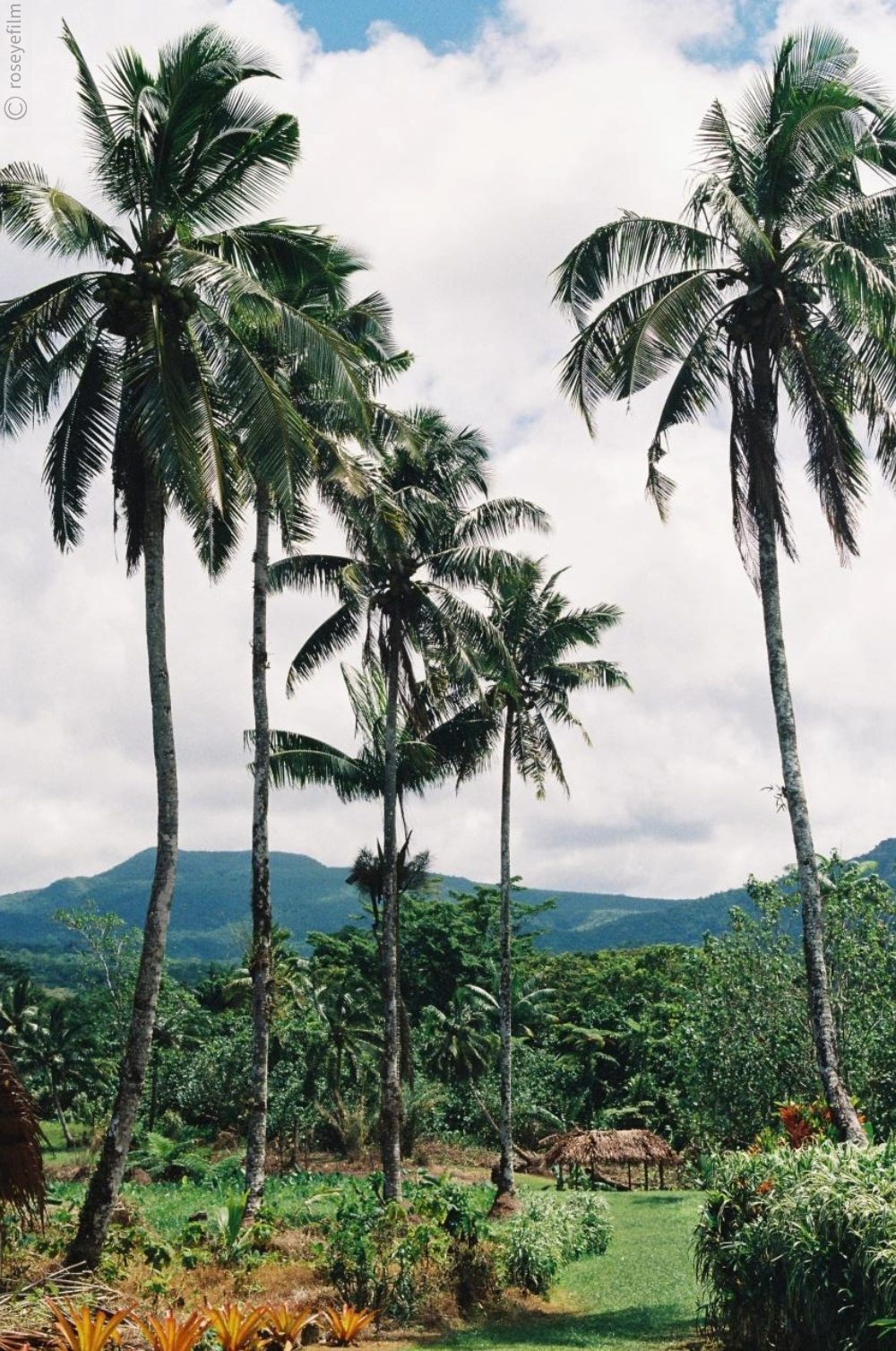 Untitled-2 copy 4.png