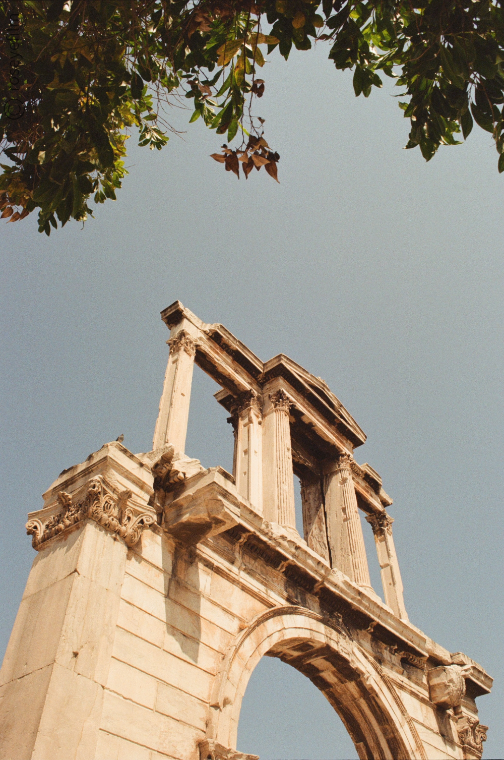 Untitled-42 copy 5.png
