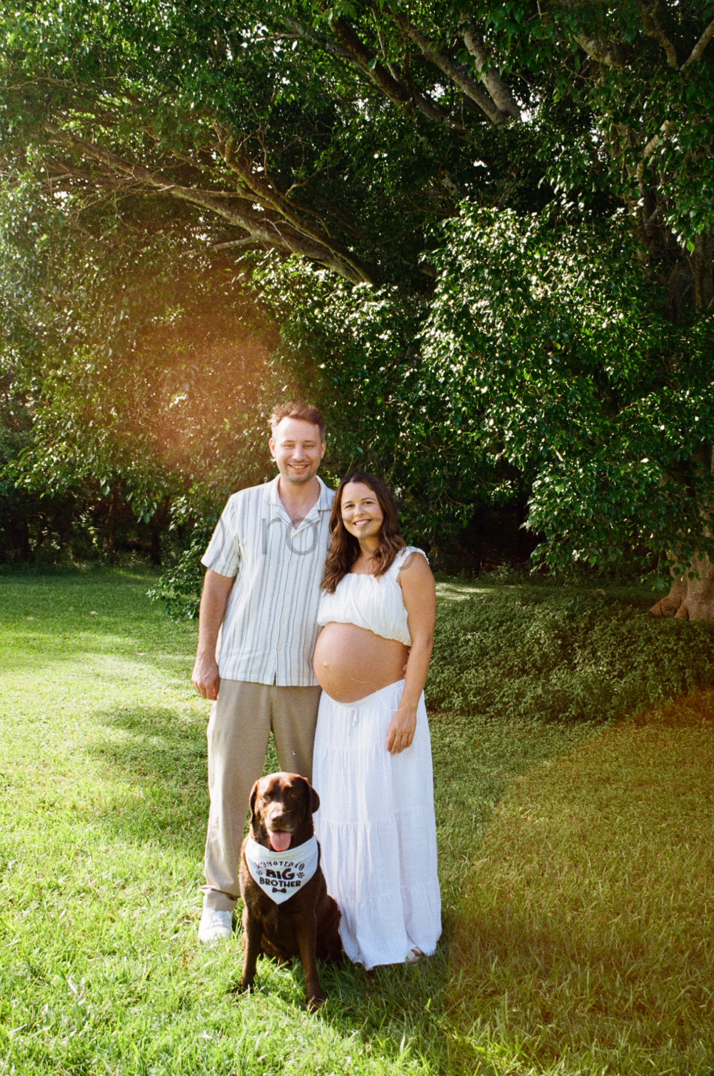 A pregnant woman and man standing outdoors in a park or garden, with a dog wearing a bandana that says "Big Brother". The woman is wearing a white dress, and the man is wearing a short-sleeved, striped shirt. They are smiling, and the woman is pregna
