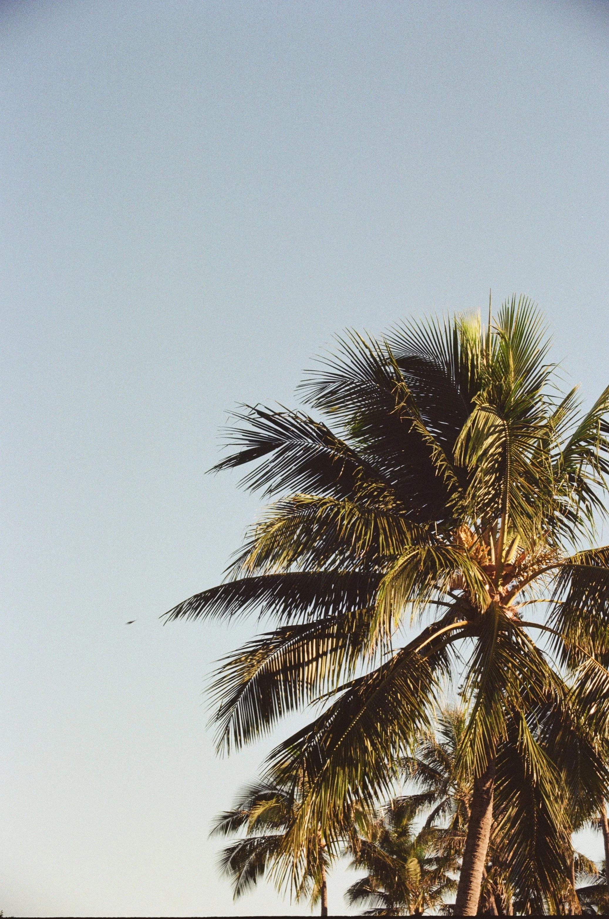 Noumea, New Caledonia
