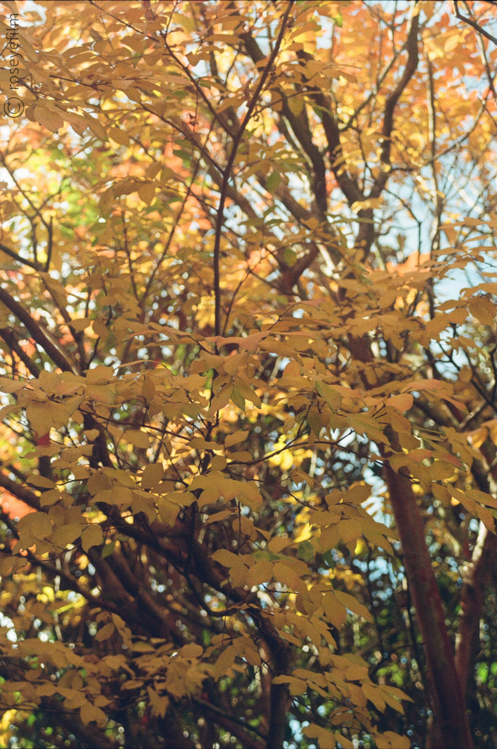 Untitled-64 copy 2.png