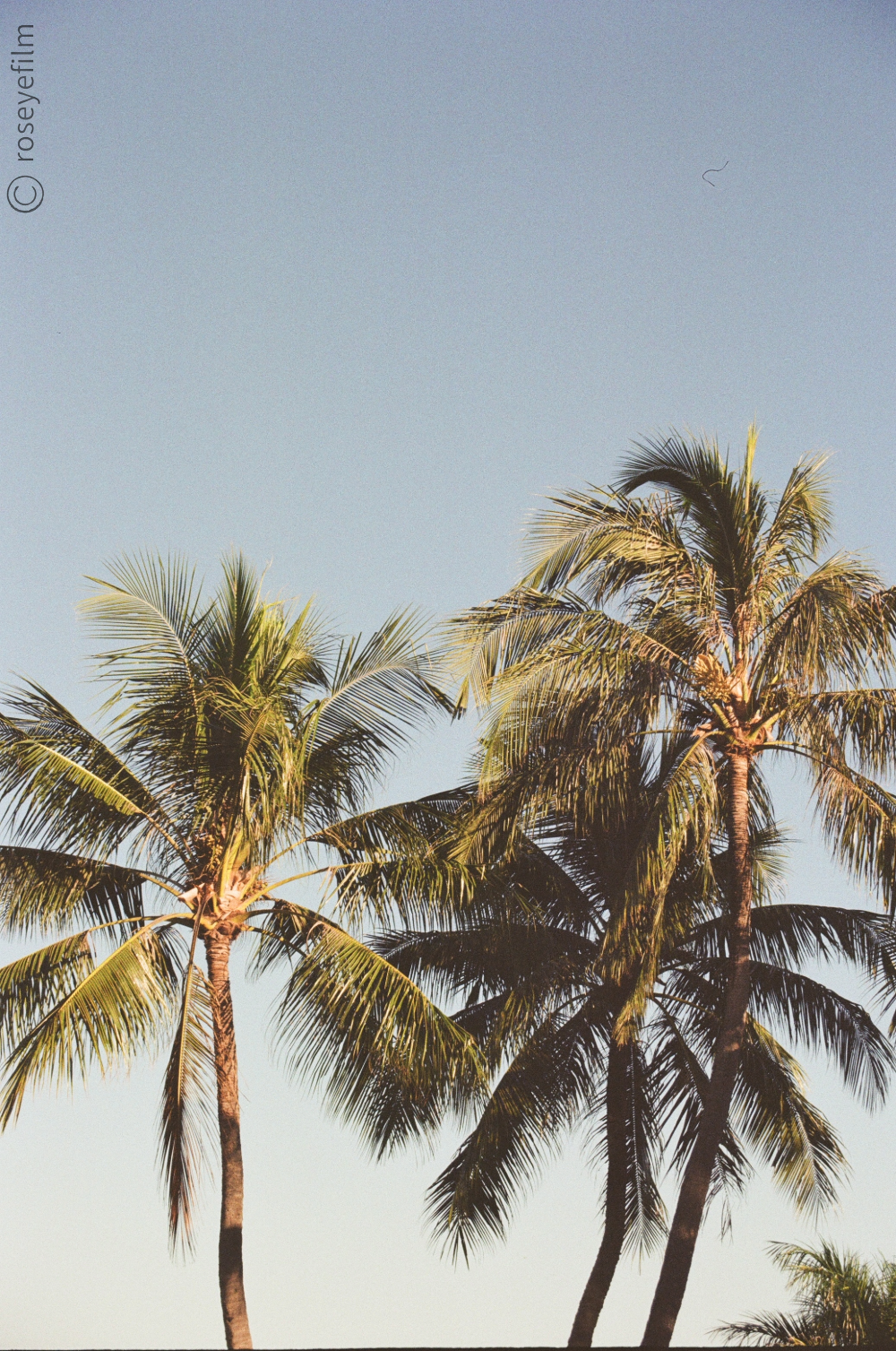 Untitled-64 copy 3.png