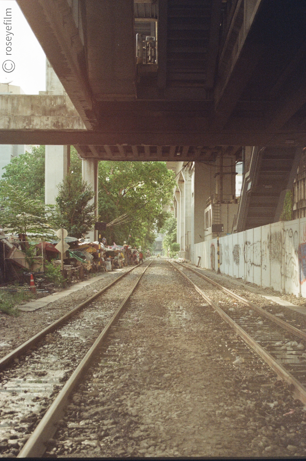 Untitled-74 copy 6.png