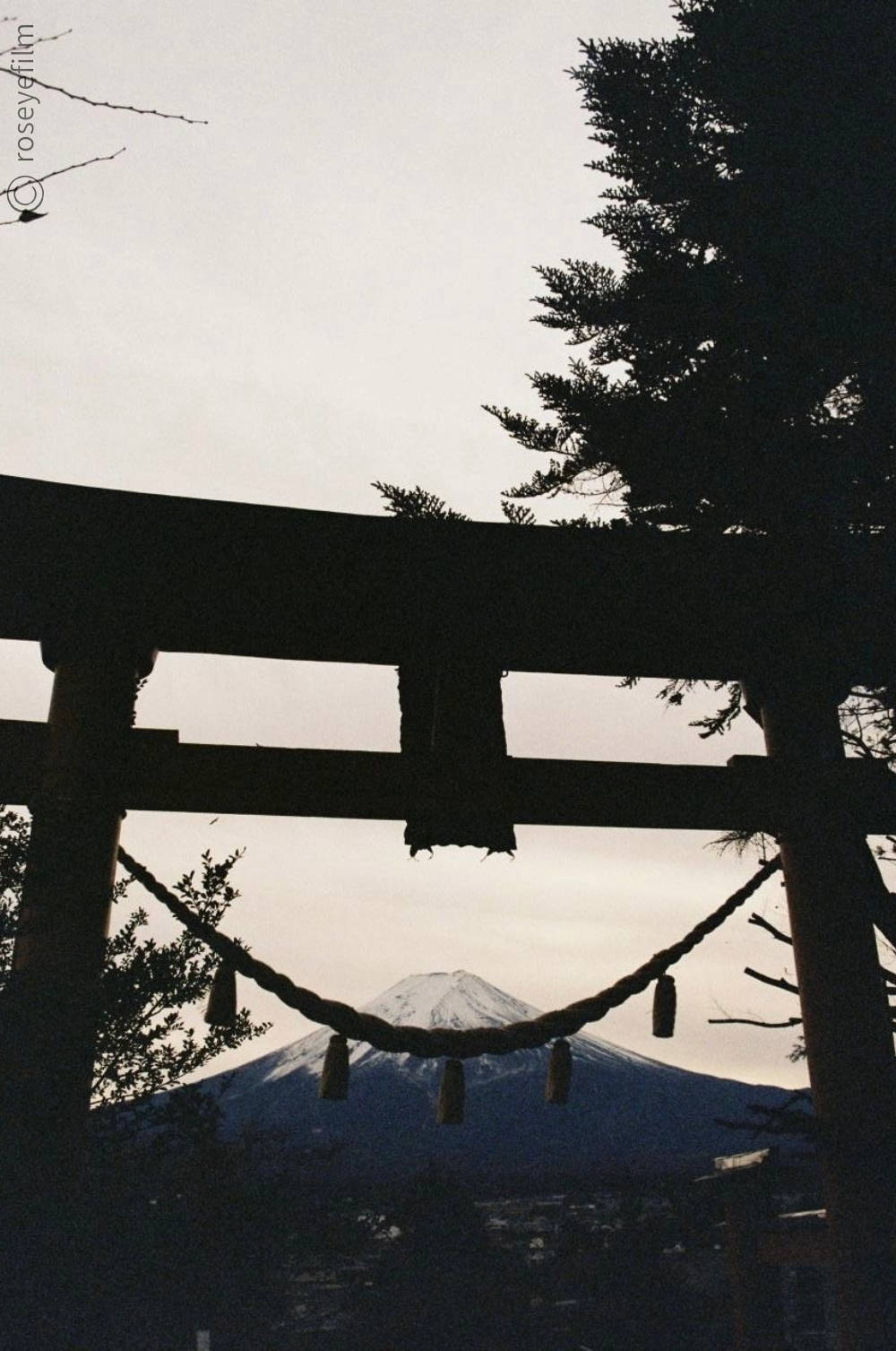 Untitled-65 copy 3.png