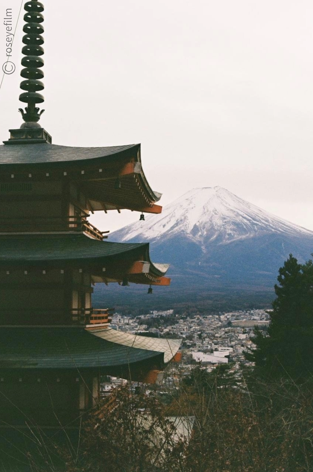 Untitled-65 copy 7.png