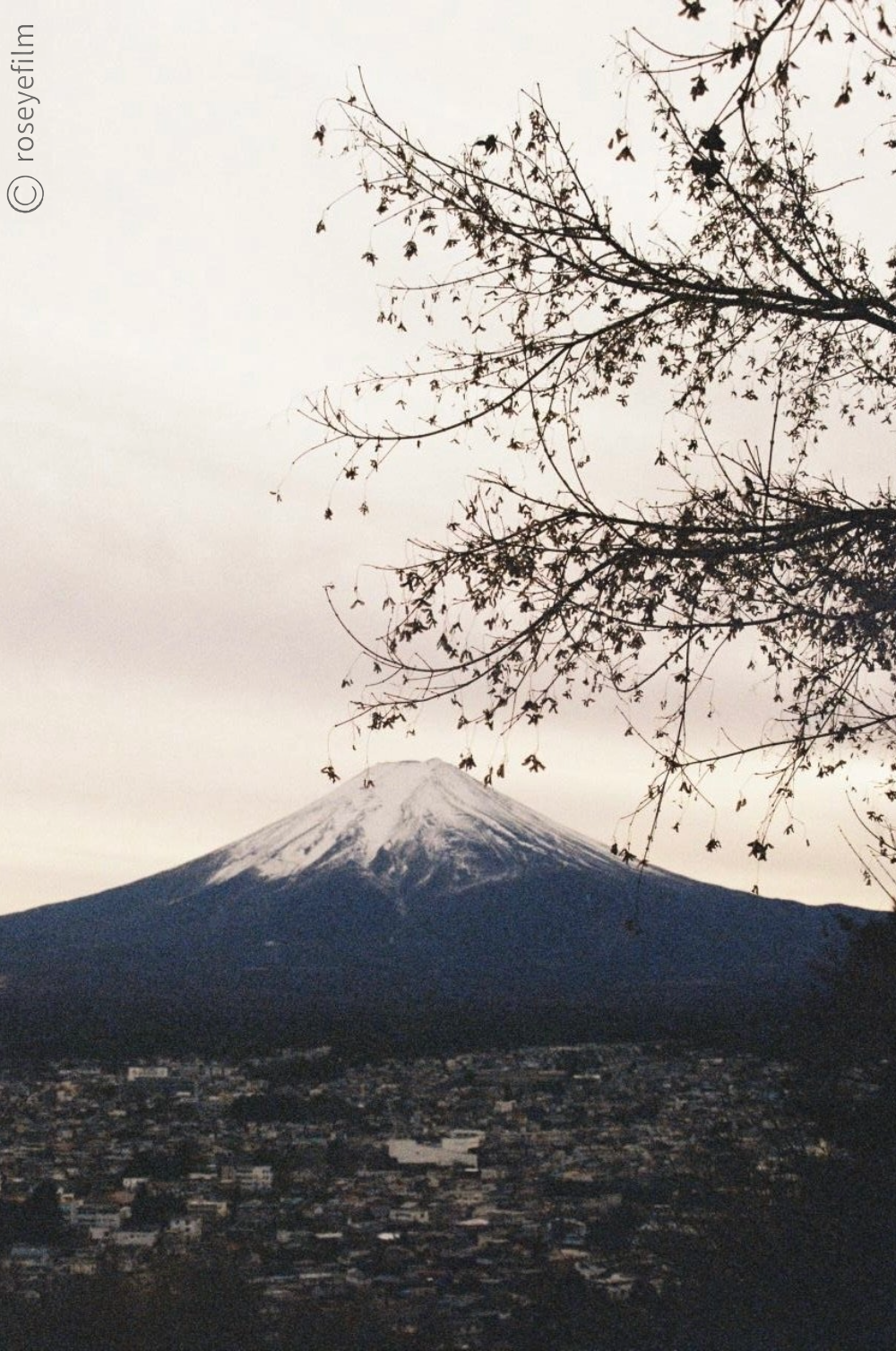Untitled-65 copy 2.png