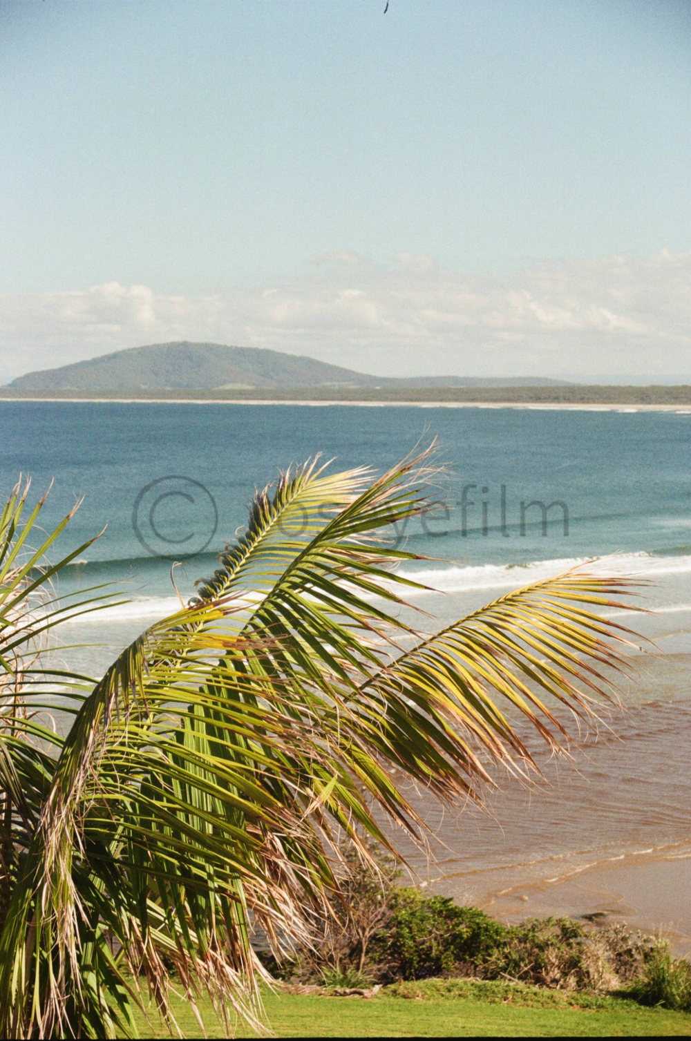 A view of a beach with a palm tree in the foreground, ocean waves, and an island or mountain in the distance under a partly cloudy sky.