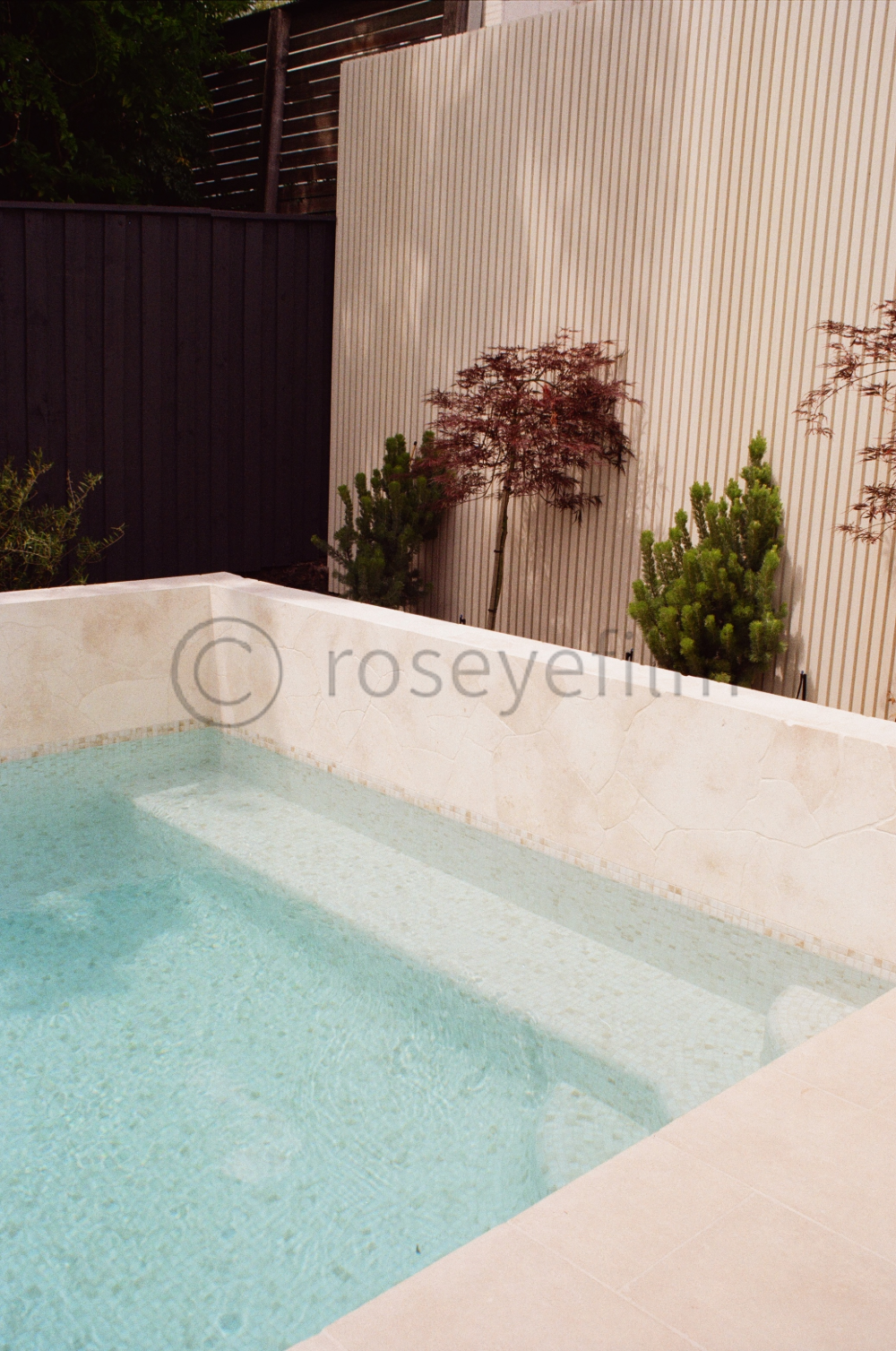 A small outdoor pool with clear water, surrounded by a beige stone wall, with a privacy fence and some trees and shrubs in the background.