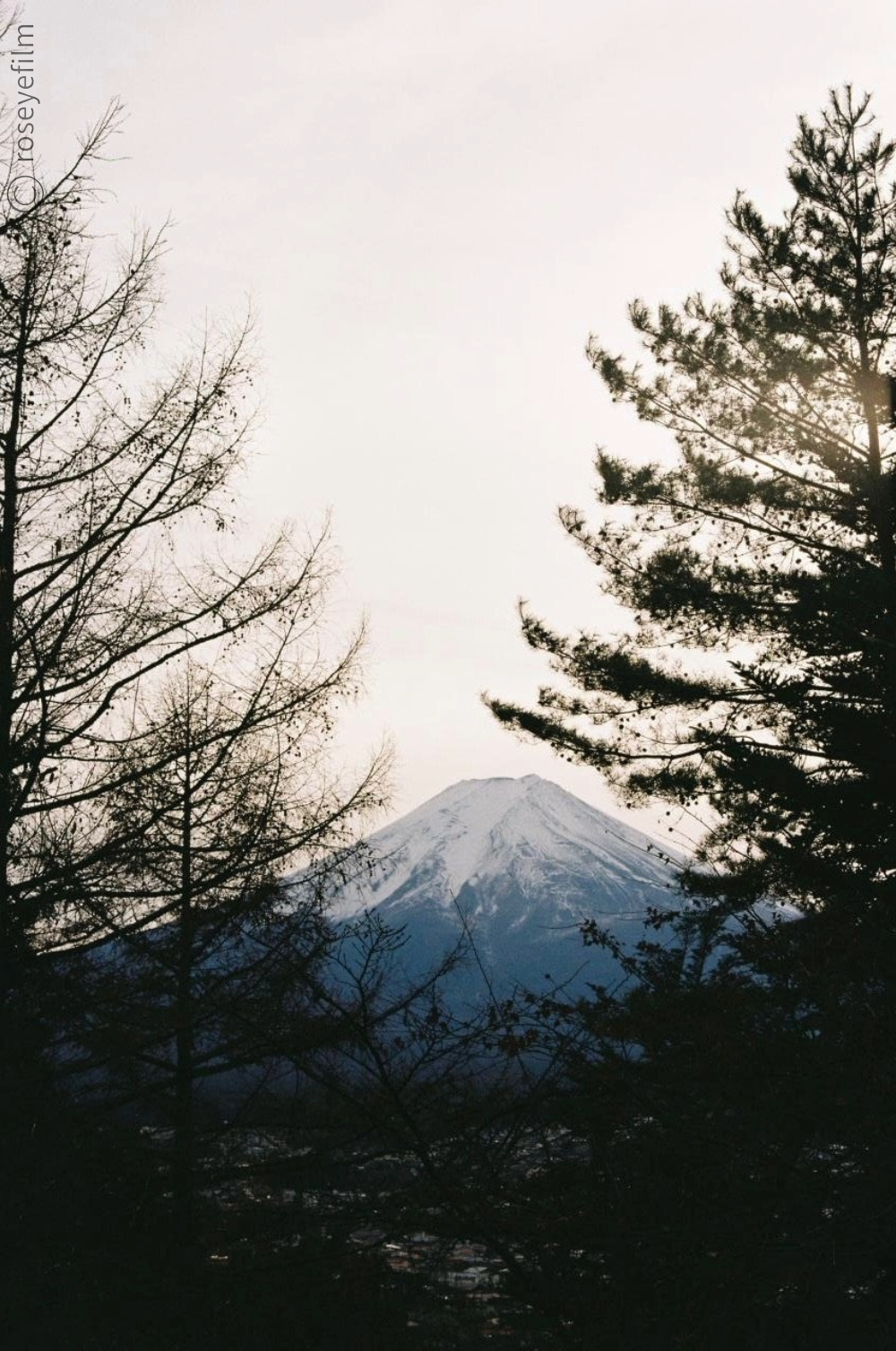 Untitled-65 copy 5.png