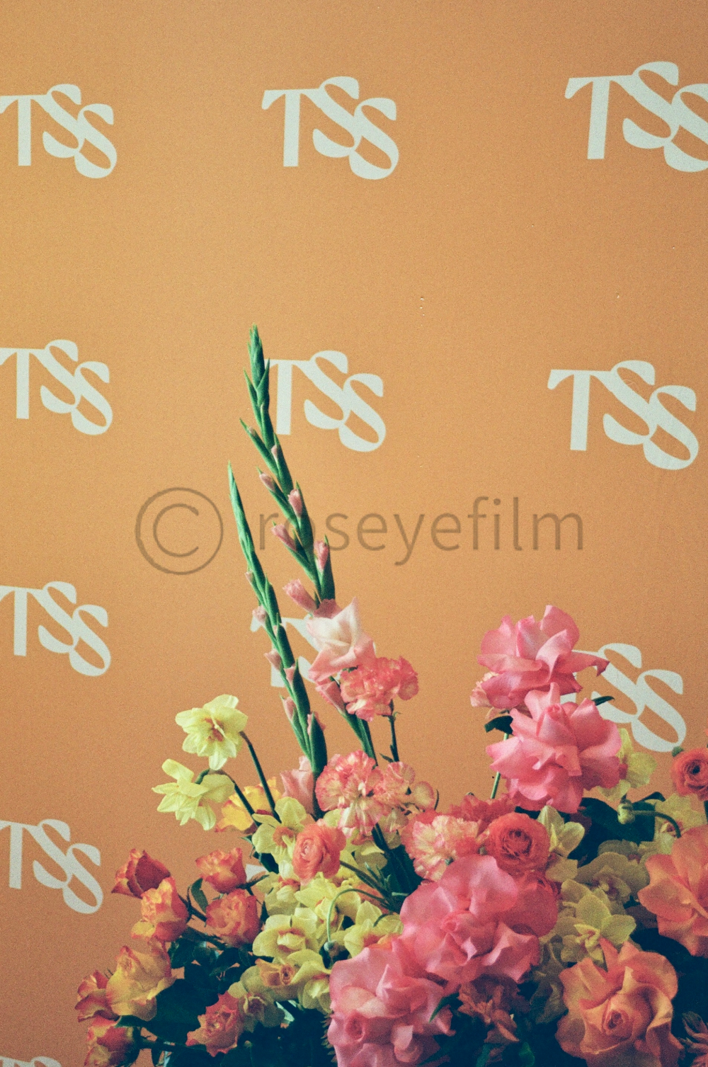 Untitled - 12 May 2025 at 20.02.56-99 (1).png