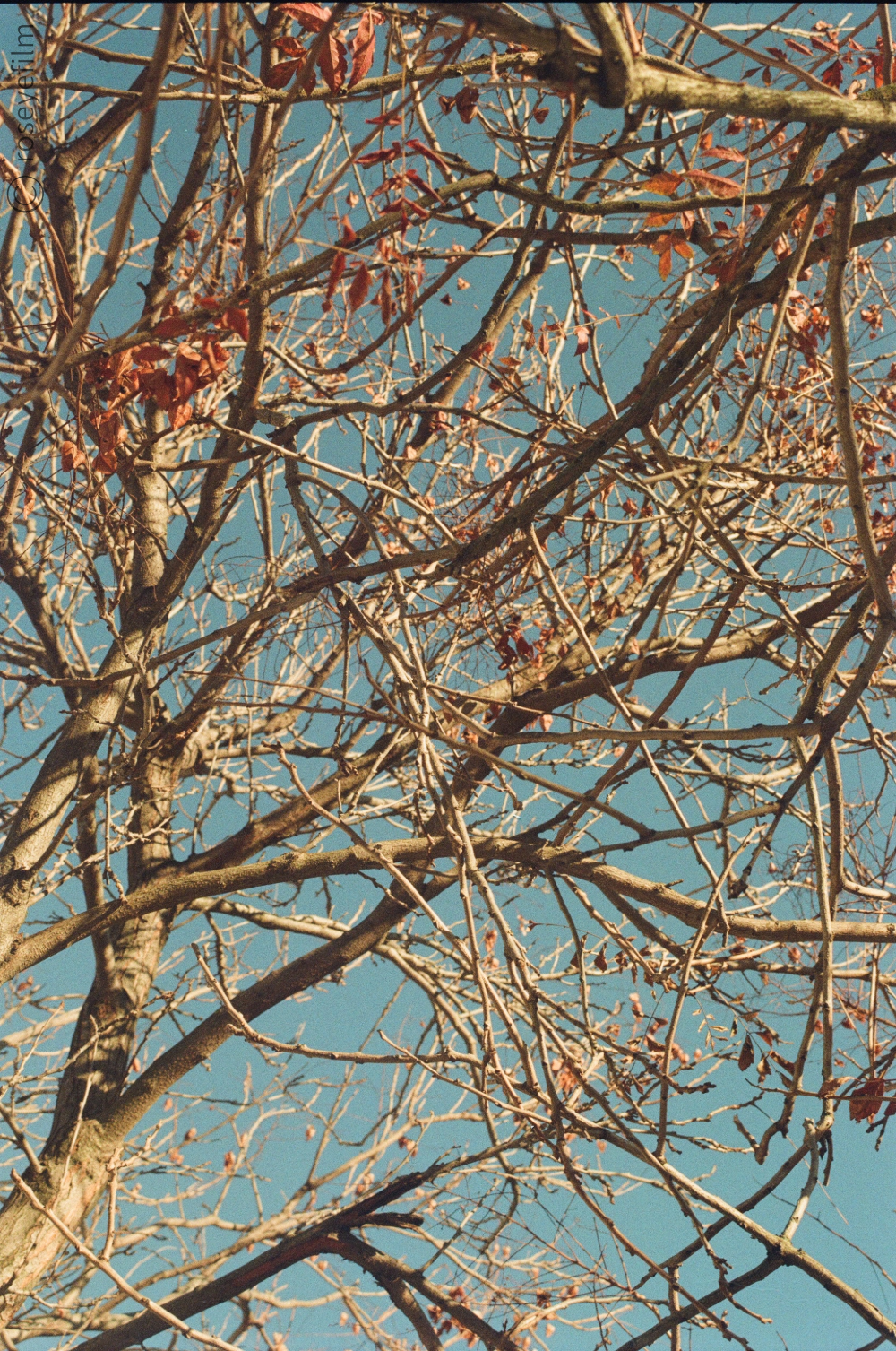 Untitled-64 copy 3.png