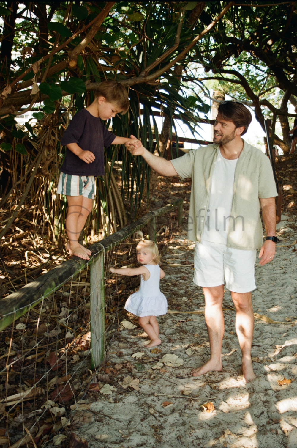 A man helping two young girls walk along a beachside trail, with one girl standing on a wooden fence and the other holding his hand, surrounded by trees and sandy ground.
