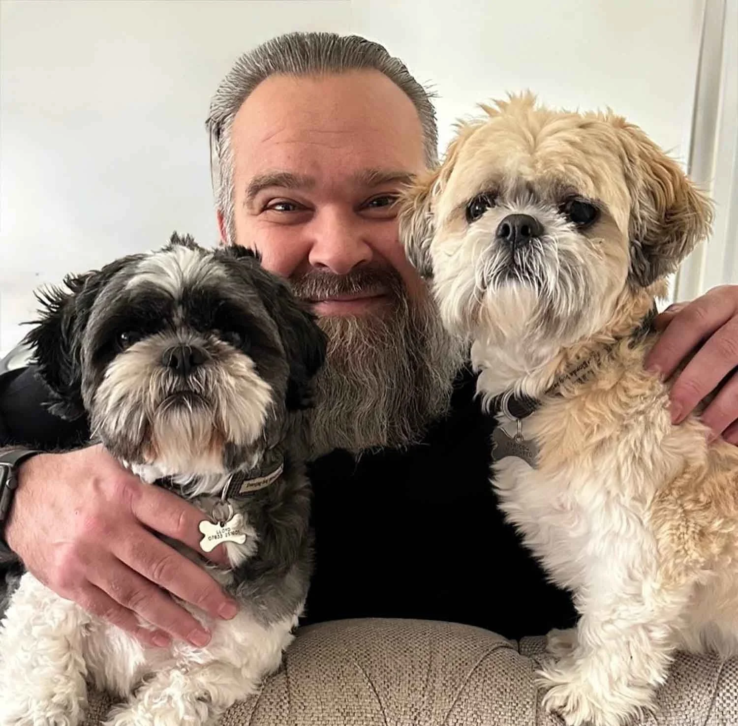 Matt with beloved Shih Tzus Chester and Ozzy