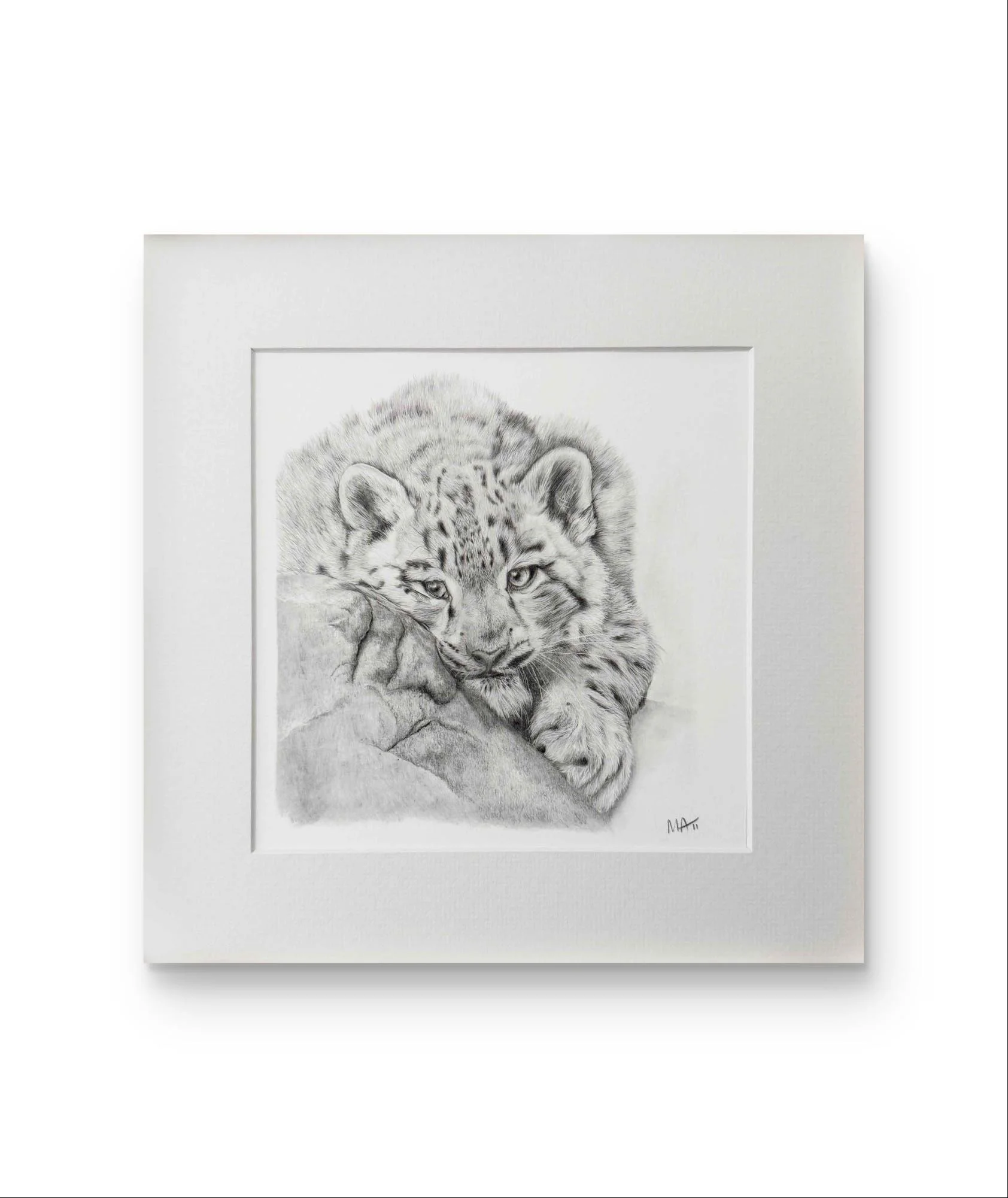 Snow Leopard mounted print.jpg