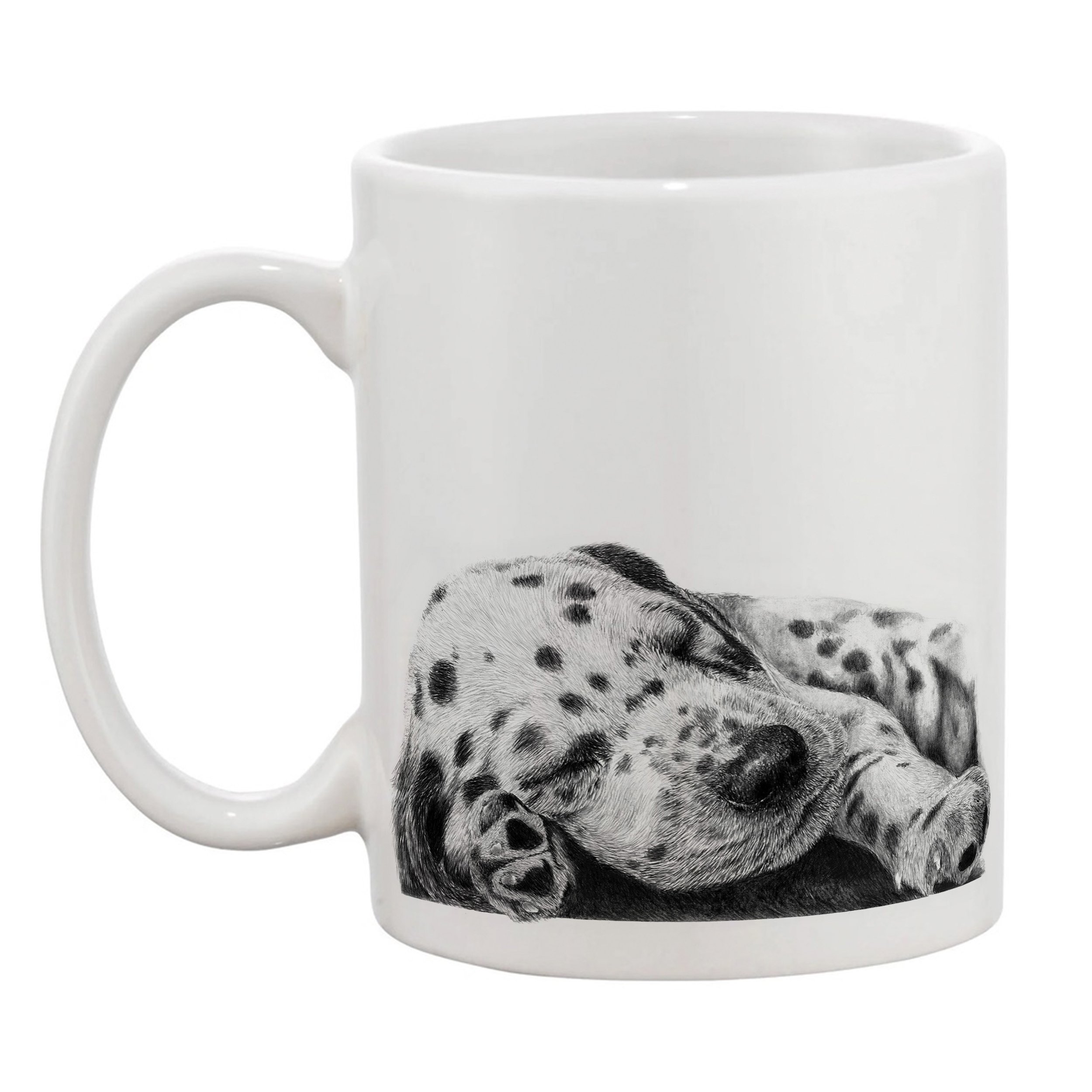 Dalmatian sleep left.jpg
