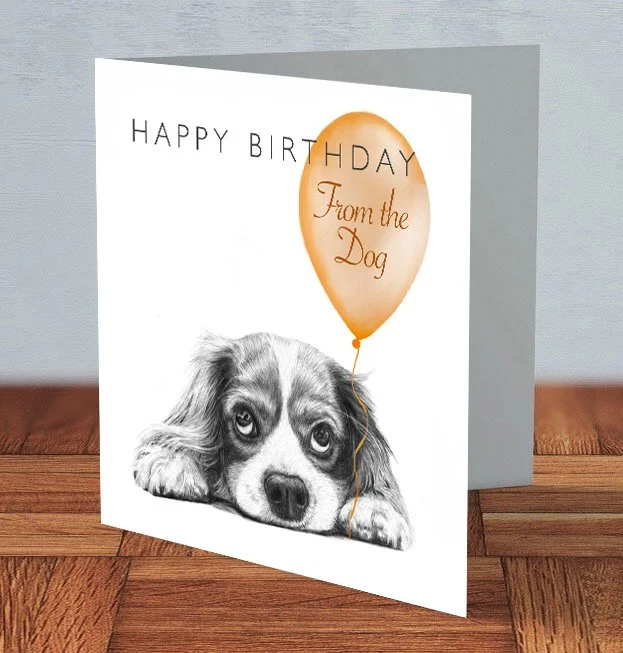Cavalier King Charles Spaniel - "From the Dog" Birthday card