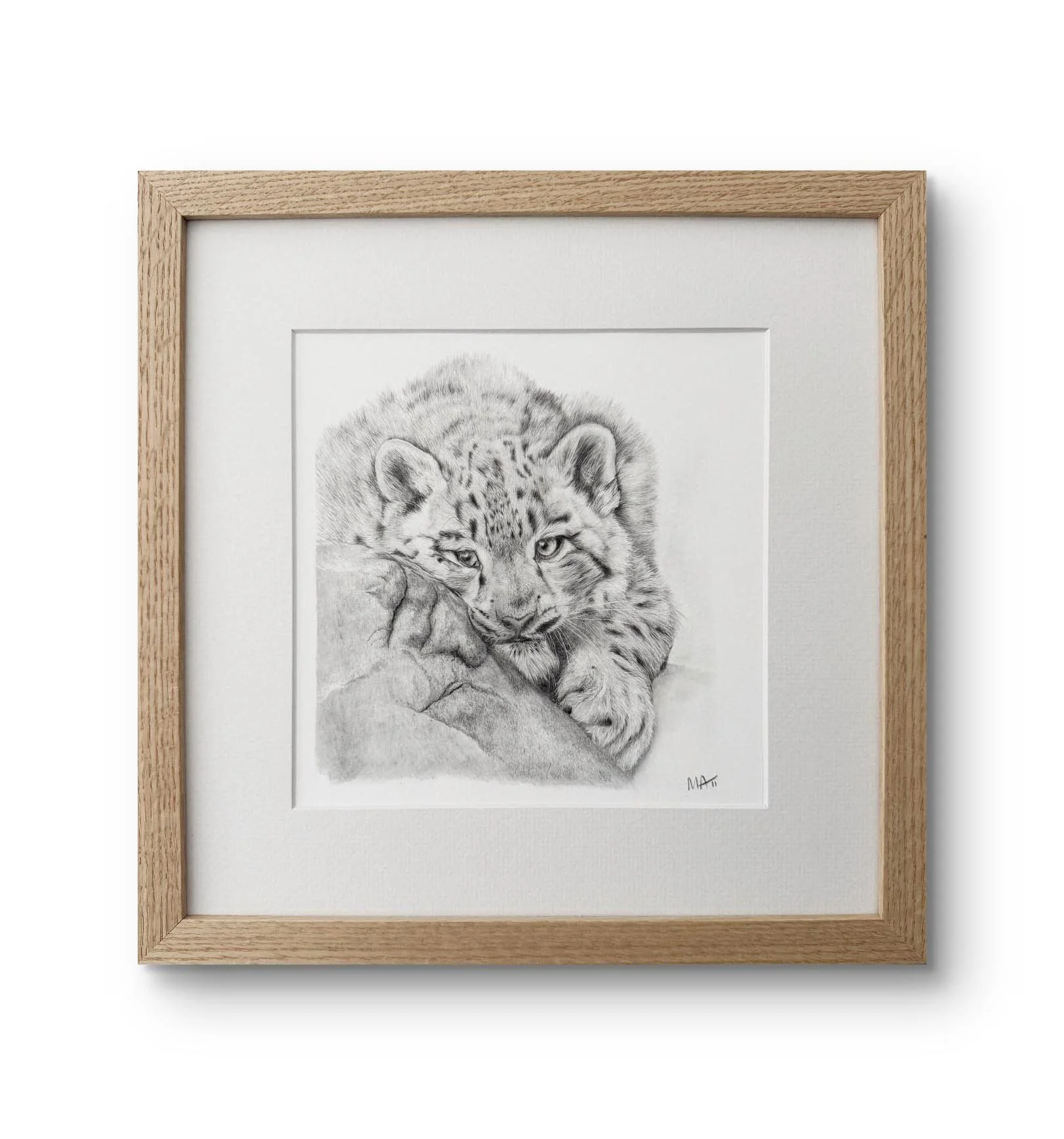 Snow Leopard mounted oak frame print.jpg