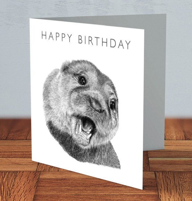 Otter wildlife luxury handmade birthday card 15 x 15 cm